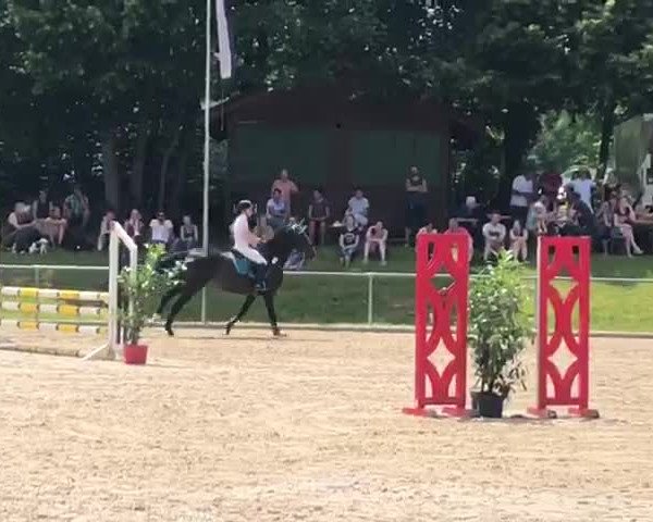 Video of Black Curl