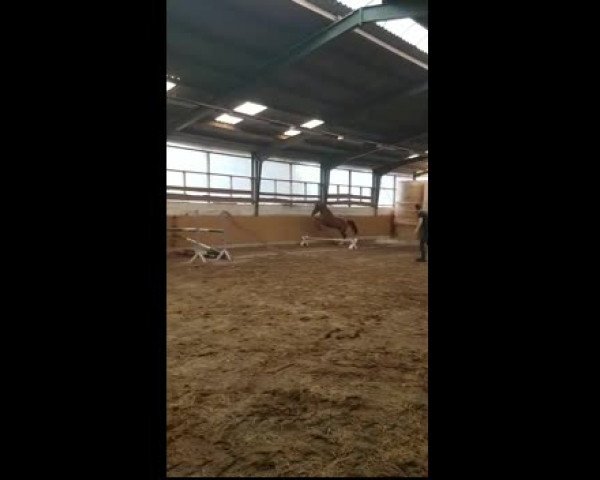 Video of Ludovico(Ludwig's Lust 3)