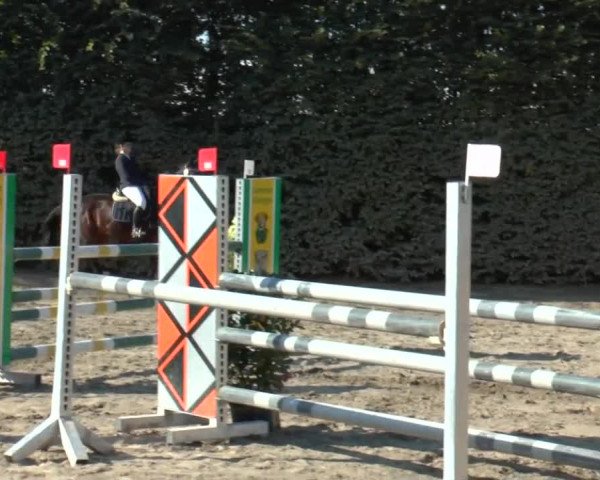 Reitturnier Oberelchingen 2018