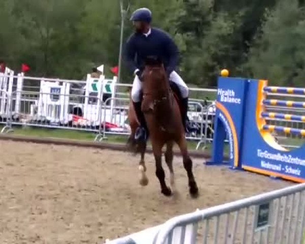 Reitturnier Uzwil 2018