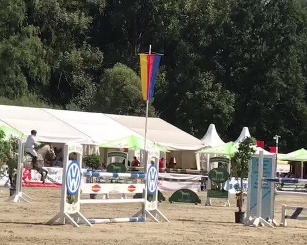 Video von Firocco