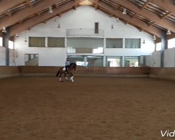Video of Diego De Baviera