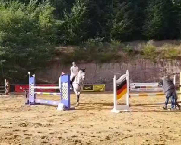 Reitturnier Völklingen-Geislautern 2018