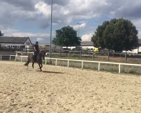 Video of Brianna C