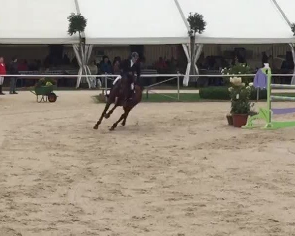 Video of Colorado