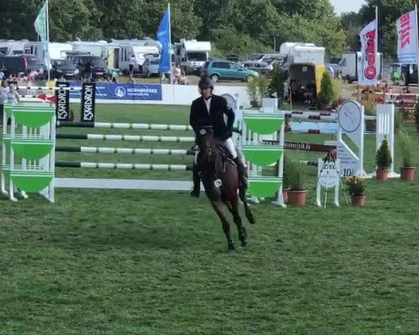 Reitturnier Mühlengeez 2018