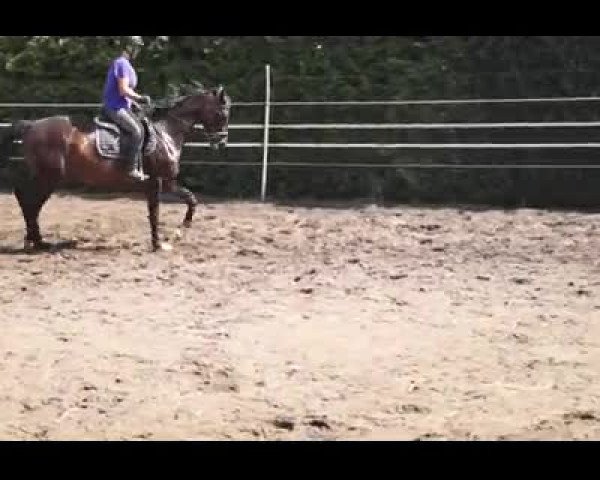Video of Betti
