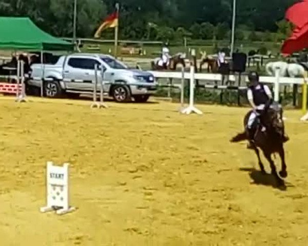Video of Bella991