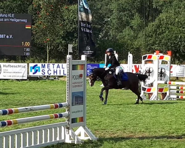 Reitturnier Goch-Asperden 2018