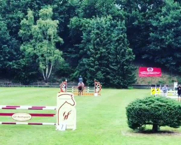 Video of Lady Roman