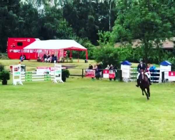 Video of Lady Roman