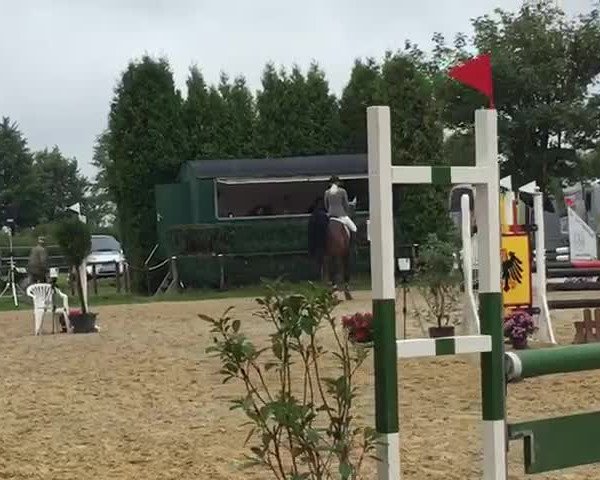 Video of Big Buddy 5