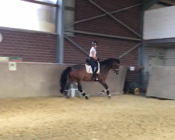 Video von Laurenzo 19