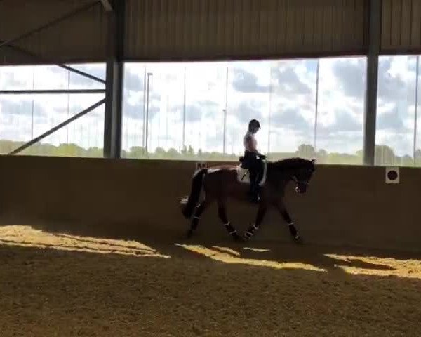 Video von Laurenzo 19
