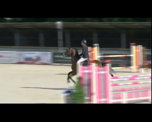 Video of Diarado's Flying Dutchman
