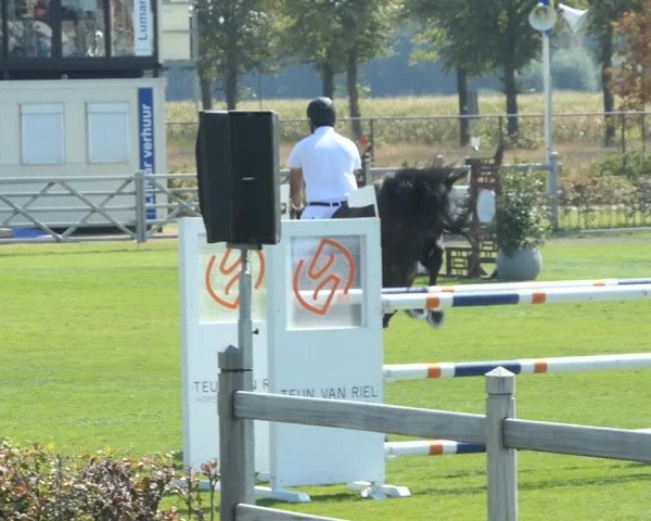 FEI Reitturnier Kronenberg (NED) 2018