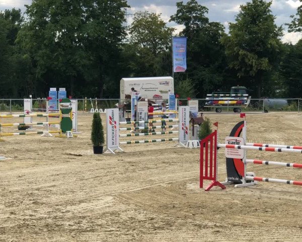 Reitturnier Lahnau-Waldgirmes 2018