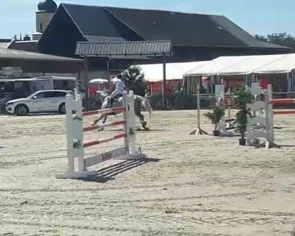 Reitturnier Merkendorf 2018