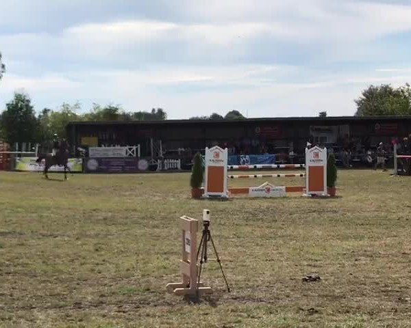 Video von Alposa's Coolman