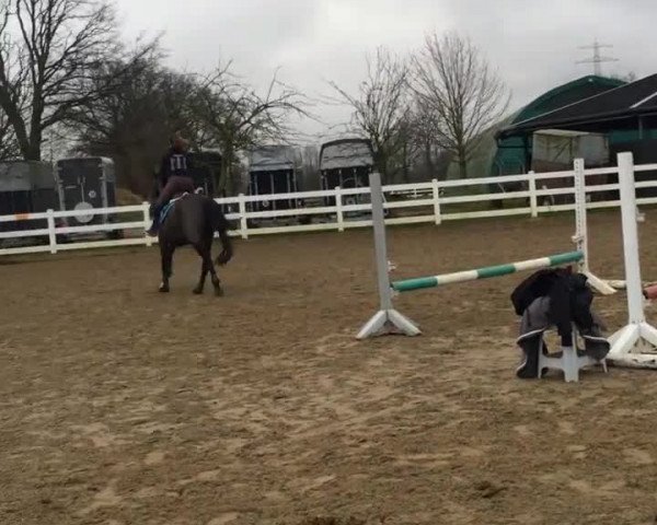 Video of Isabel I