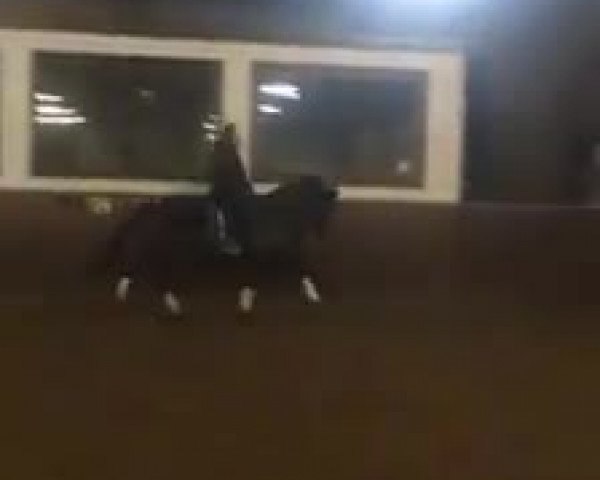 Video of Isabel I
