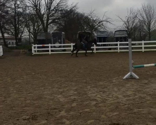 Video of Isabel I