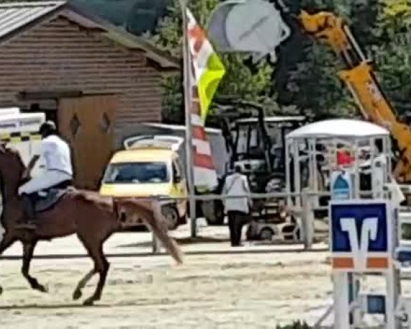 Reitturnier Ennigerloh-Neubeckum 2018