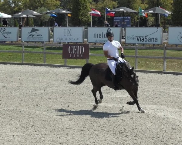 FEI Reitturnier Kronenberg (NED) 2018