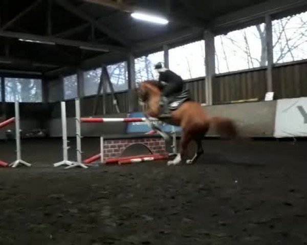 Video of Unami