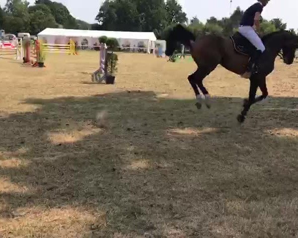 Reitturnier Bawinkel 2018