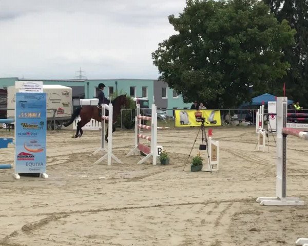 Reitturnier Rodheim-Bieber 2018