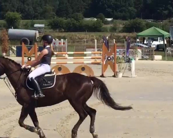 Reitturnier Schülp / Rendsburg 2018