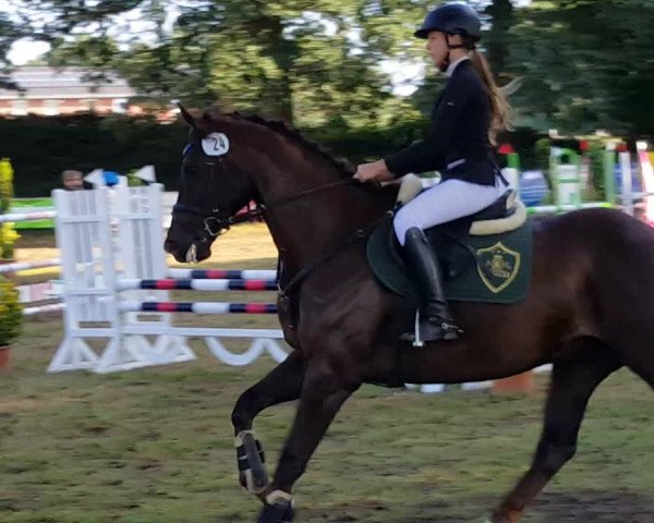 Reitturnier Herfart 2018