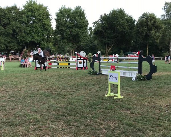 Reitturnier Öhringen-Cappel 2018