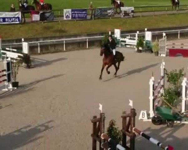 Reitturnier Rüti 2018
