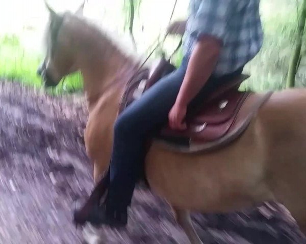 Video of Moni