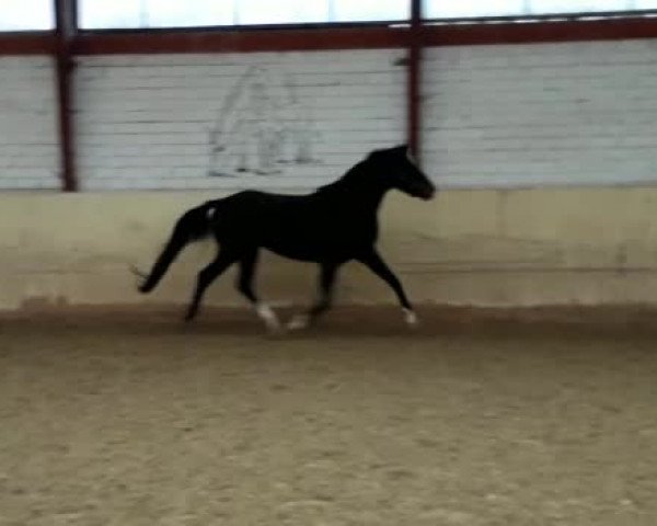Video of Queeny M.