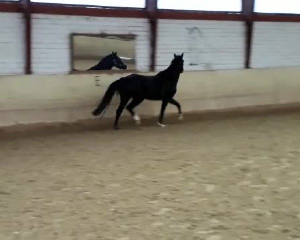 Video of Queeny M.