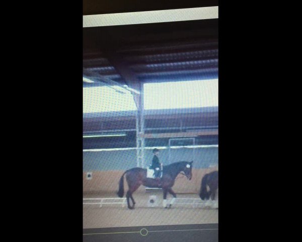 Video von Samba Queen 4