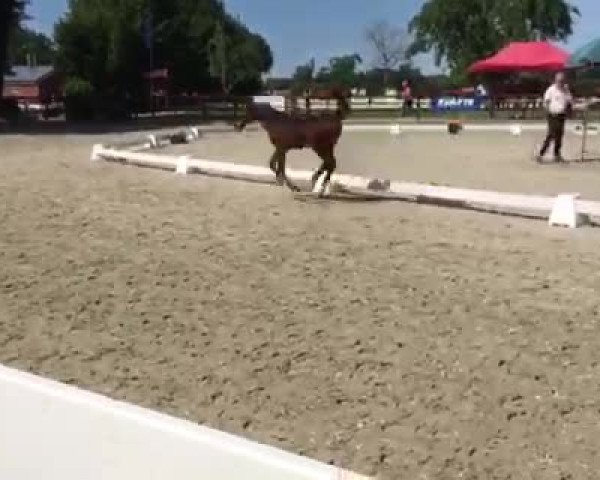 Video von Air Jessy