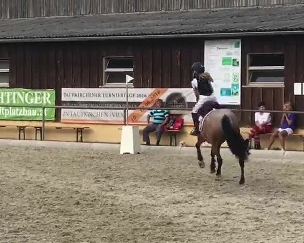 Reitturnier Taufkirchen/Vils 2018
