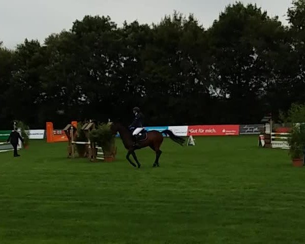 Reitturnier Elmlohe 2017