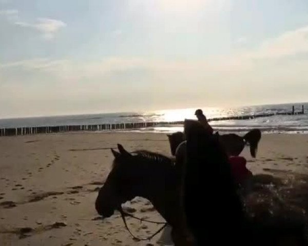 Video of Lucy in the sky M