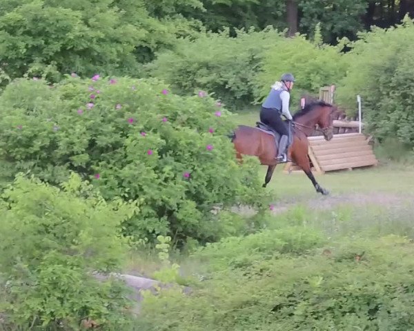 Video of Rockalie