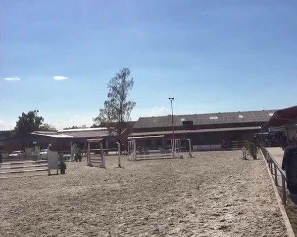 Video of Jirasko