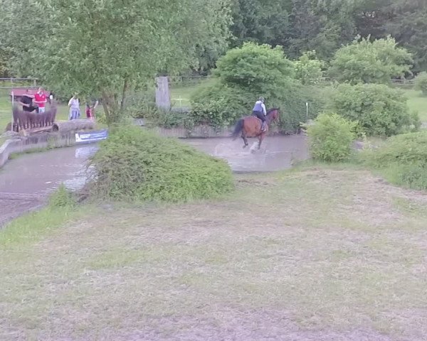 Video of Rockalie