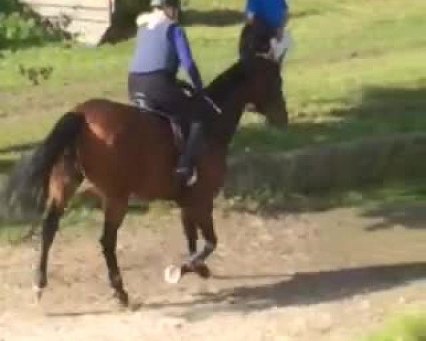Video of Rockalie