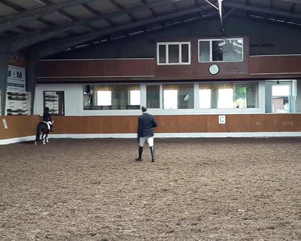 Video von Dajas Isana