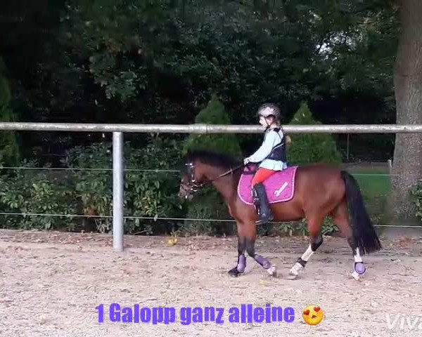 Video von Dajas Isana