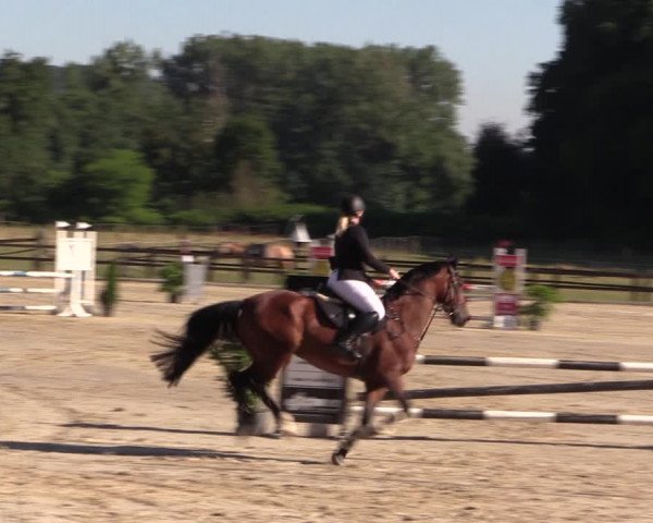 Reitturnier Hemer-Oese an der Edelburg 2018